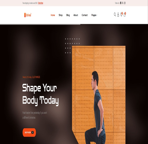 StriveX WordPress Theme